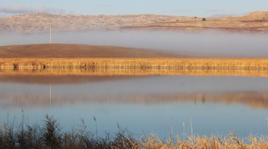 Hafik Gölü'nde hazan ayrı güzel!