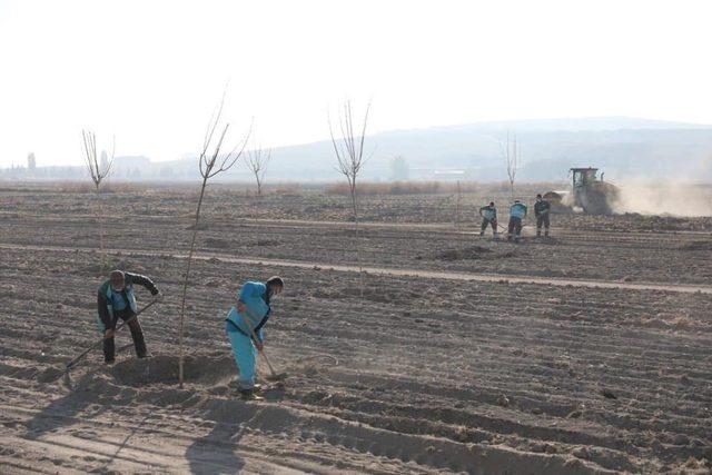 Başkan Çolakbayrakdar Kayseri’ye engelsiz park kazandırıyor