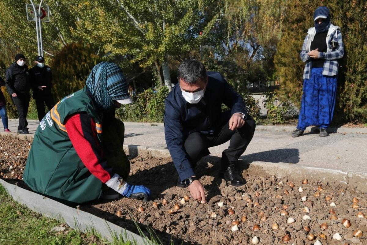 G&ouml;lbaşı lalelerle renklenecek