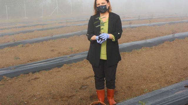 Kanserli hücrelerin düşmanı, İzmit’te oluşturulan bahçede yetişecek