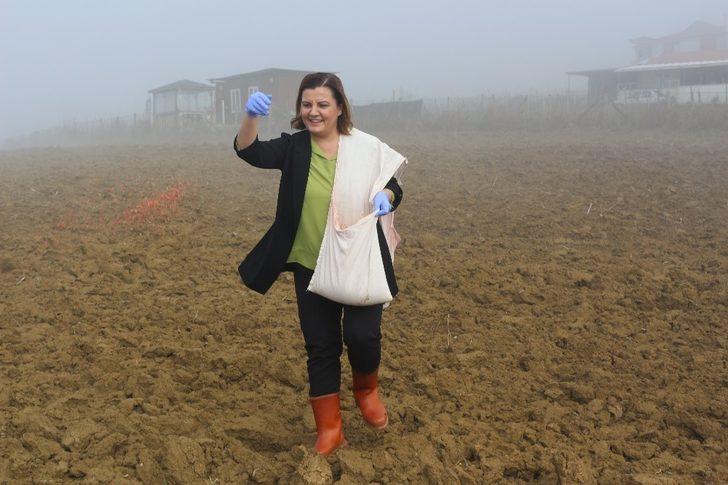 Kanserli hücrelerin düşmanı, İzmit’te oluşturulan bahçede yetişecek G4