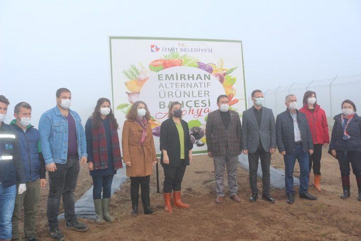 Kanserli hücrelerin düşmanı, İzmit’te oluşturulan bahçede yetişecek G5