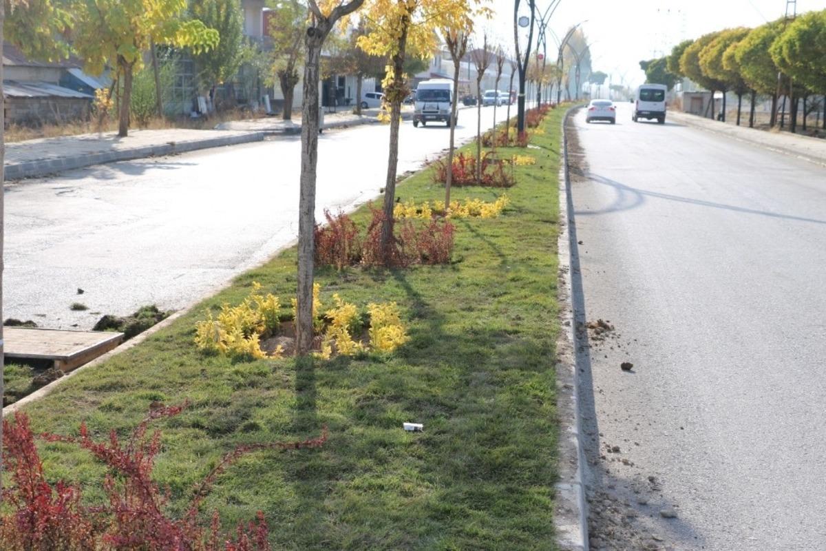 Erciş Belediyesinden &ccedil;imlendirme &ccedil;alışması