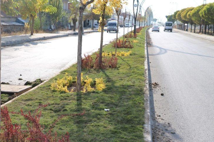 Erciş Belediyesinden çimlendirme çalışması G1