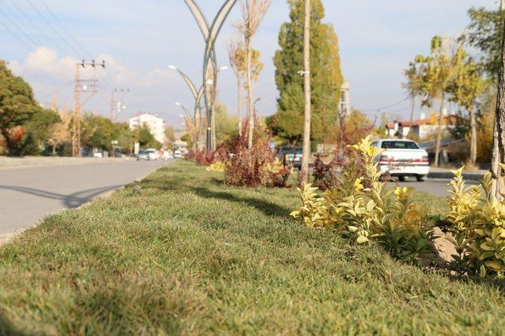 Erciş Belediyesinden çimlendirme çalışması G4