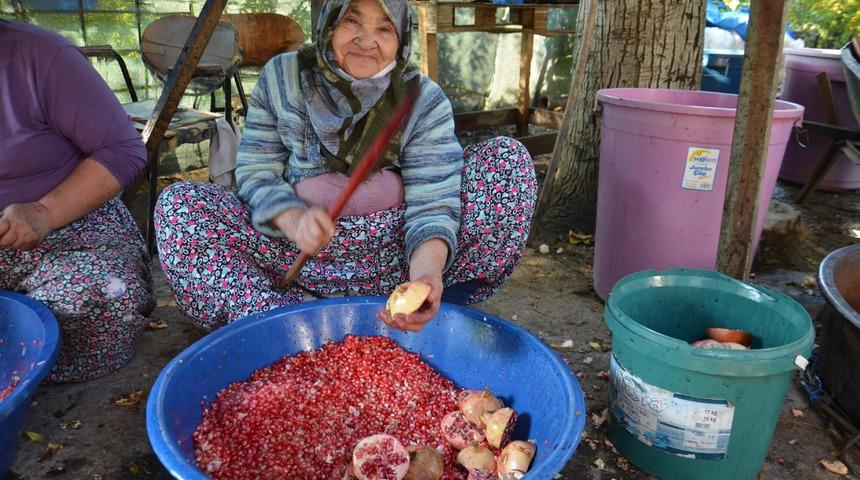 Yiyen şifa buluyor, satan para kazanıyor! Sezonu açıldı...