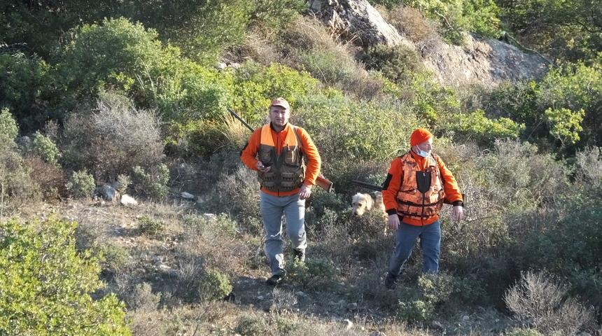 Balıkesir'de korkutan olay! Tatil sitesini domuzlar basınca avcılardan yardım istendi