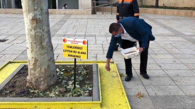 Başkan Vidinlioğlu, Nasrullah Meydanında güvercinleri besledi