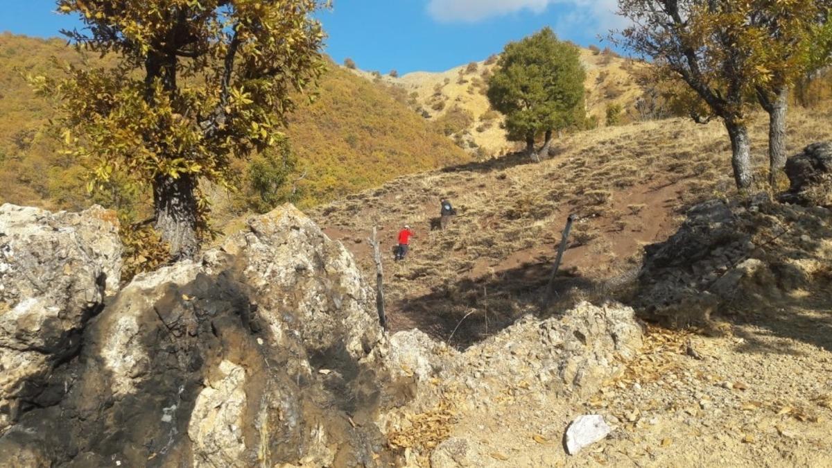 K&ouml;ylerini ağa&ccedil;landırmak i&ccedil;in meşe palamudu dikimine başladılar