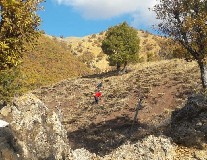Köylerini ağaçlandırmak için meşe palamudu dikimine başladılar G2