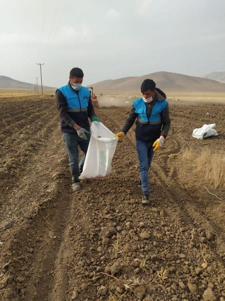 Çaldıran Belediyesinin ektiği patatesin hasadına başlandı G4