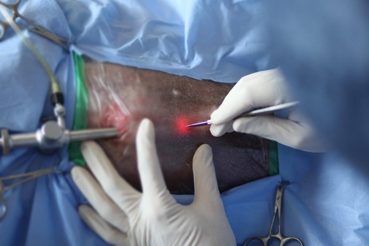 Atat&uuml;rk &Uuml;niversitesinden bir ilk daha