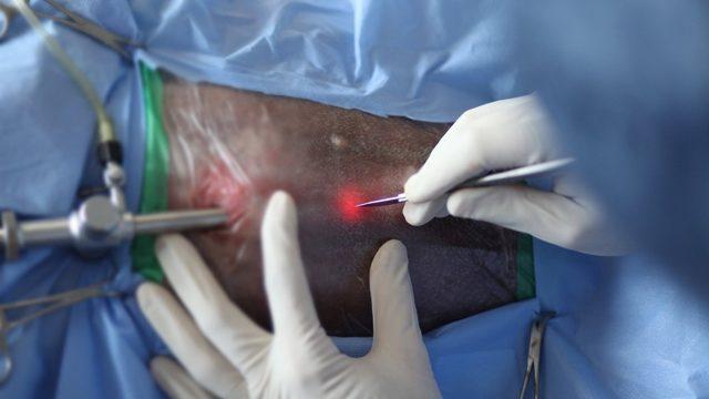 Atatürk Üniversitesinden bir ilk daha