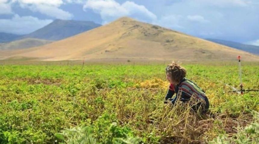 Seyahat etmenin maliyeti nedir?