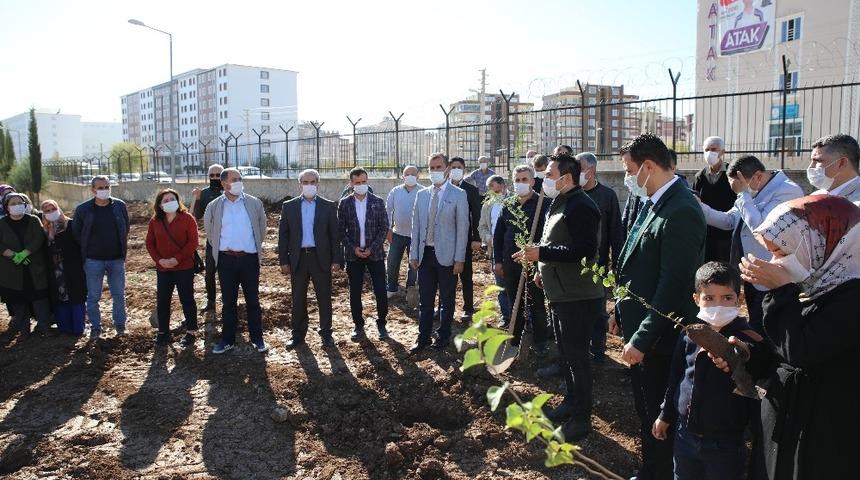 Adıyaman&rsquo;da fidan dikimleri devam ediyor