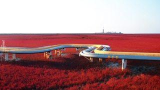 Bakınca Gözlerinizi Ovuşturacağınız 16 Gerçeküstü Manzara