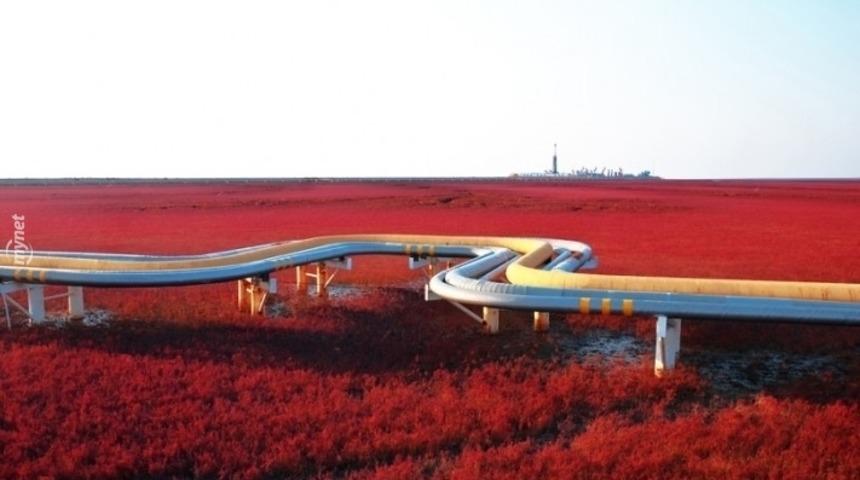 Bakınca Gözlerinizi Ovuşturacağınız 16 Gerçeküstü Manzara