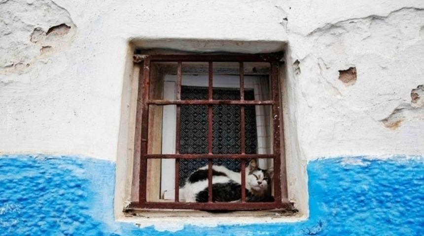 Fas'ın Geleneksel Y&uuml;z&uuml; Rabat Renkli Sokakları Ve İnsanlarıyla G&ouml;renleri Kendine Hayran Bırakıyor