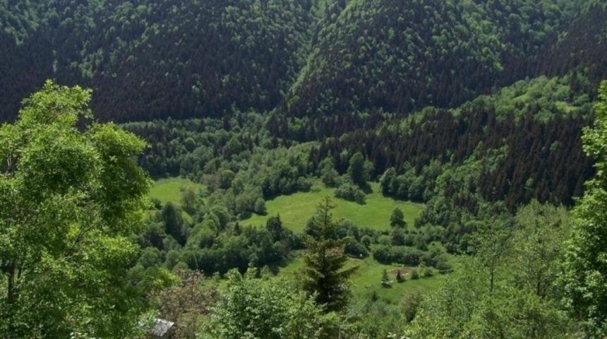 Adı Karadeniz Olan Bir Cennet