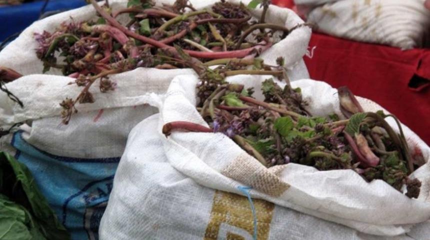 Sadece Giresunluların G&ouml;r&uuml;nce Hasretini Depreştirecek 10 Şey