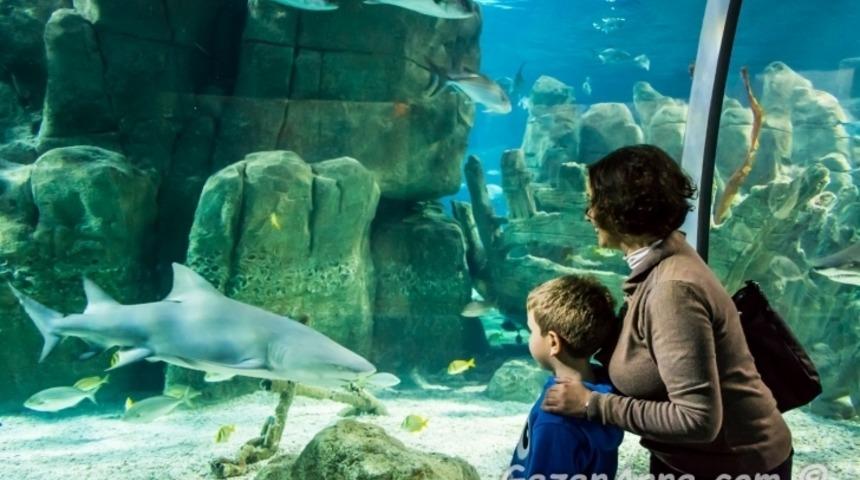 19 Mayıs'ta Çocuğunuzla İstanbul'un Tadını Çıkarın