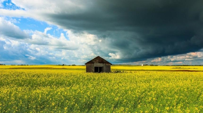 D&uuml;nyanın En Yalnız Evleri