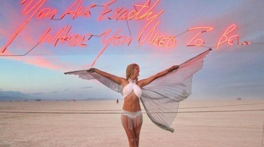 Kurumsal D&uuml;nyanın Yağlı Kazığına Tırmanmayı Reddeden Sarışın