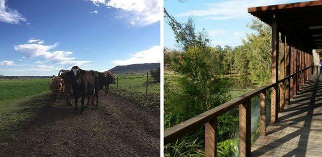 Dünyanın En İyi 25 Okul Kampüsü 23