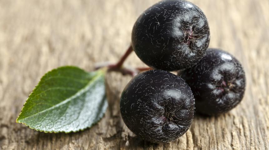 'S&uuml;per meyve' ile tanışın! Kanserli h&uuml;crelerin d&uuml;şmanı artık İzmit'te yetişecek