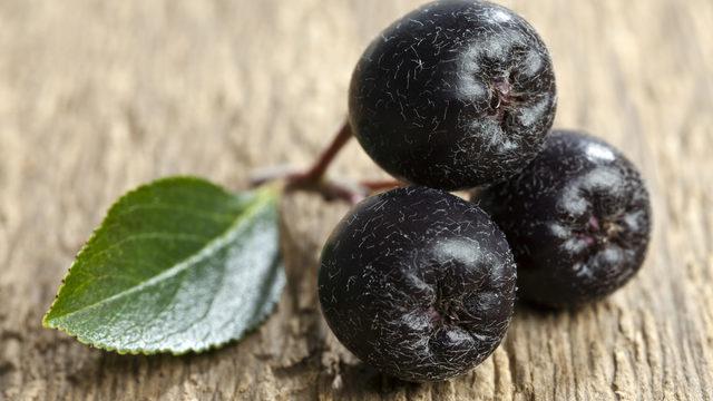 'Süper meyve' ile tanışın! Kanserli hücrelerin düşmanı artık İzmit'te yetişecek