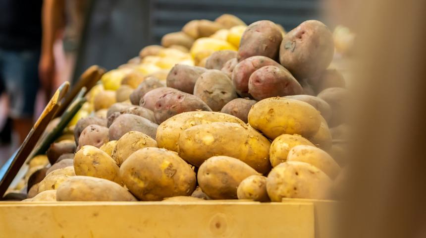 Kızartmalık ile yemeklik patates arasındaki bu farka dikkat! 