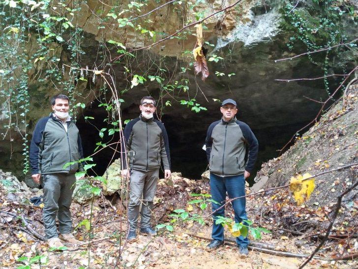 Doğanın gizemine açılan kapıda inceleme G1