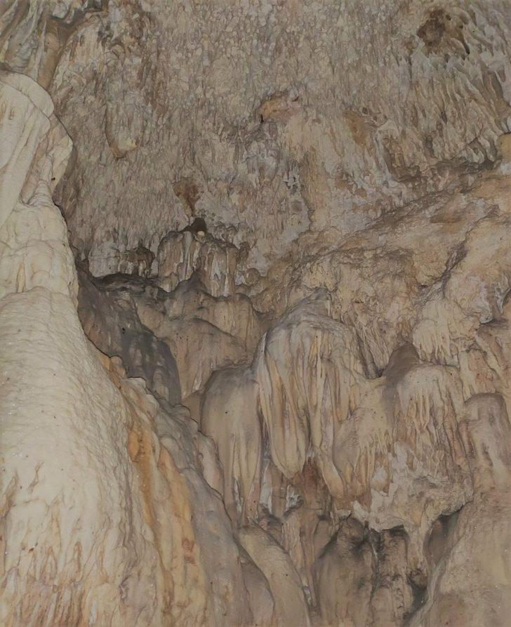 Doğanın gizemine açılan kapıda inceleme G2