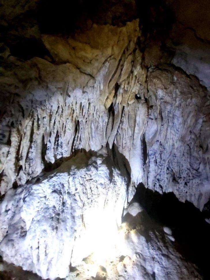 Doğanın gizemine açılan kapıda inceleme G3