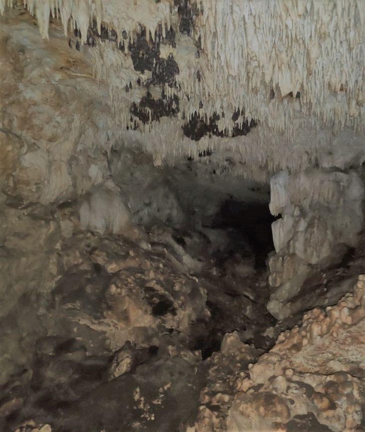 Doğanın gizemine açılan kapıda inceleme G5