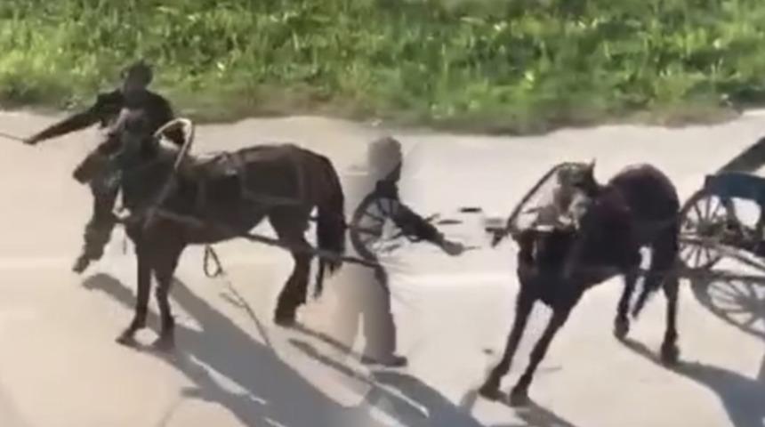 Dehşete d&uuml;ş&uuml;ren g&ouml;r&uuml;nt&uuml;ler! Y&uuml;k&uuml; &ccedil;ekemeyen atı b&ouml;yle kırba&ccedil;ladı