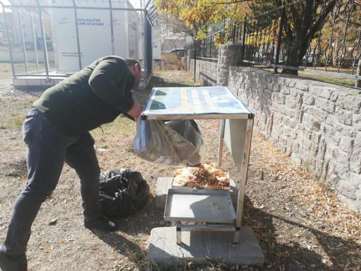 Kars&rsquo;ta belediye sokak hayvanlarını unutmadı