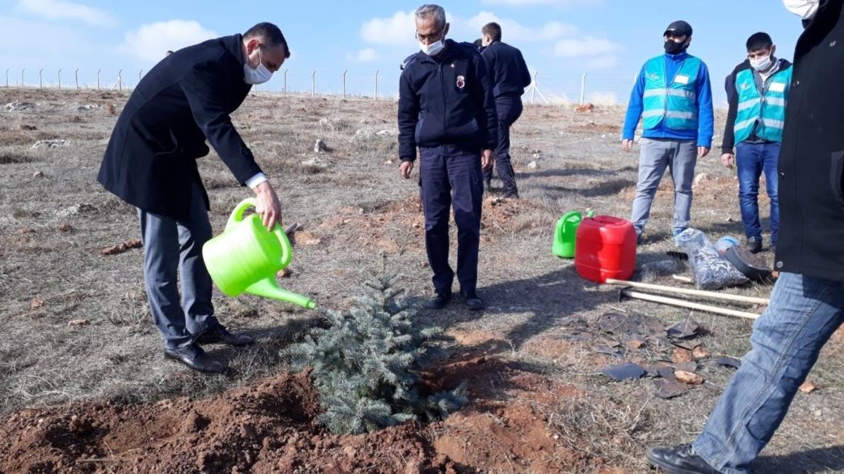 Adalet Ormanı&rsquo;na fidan