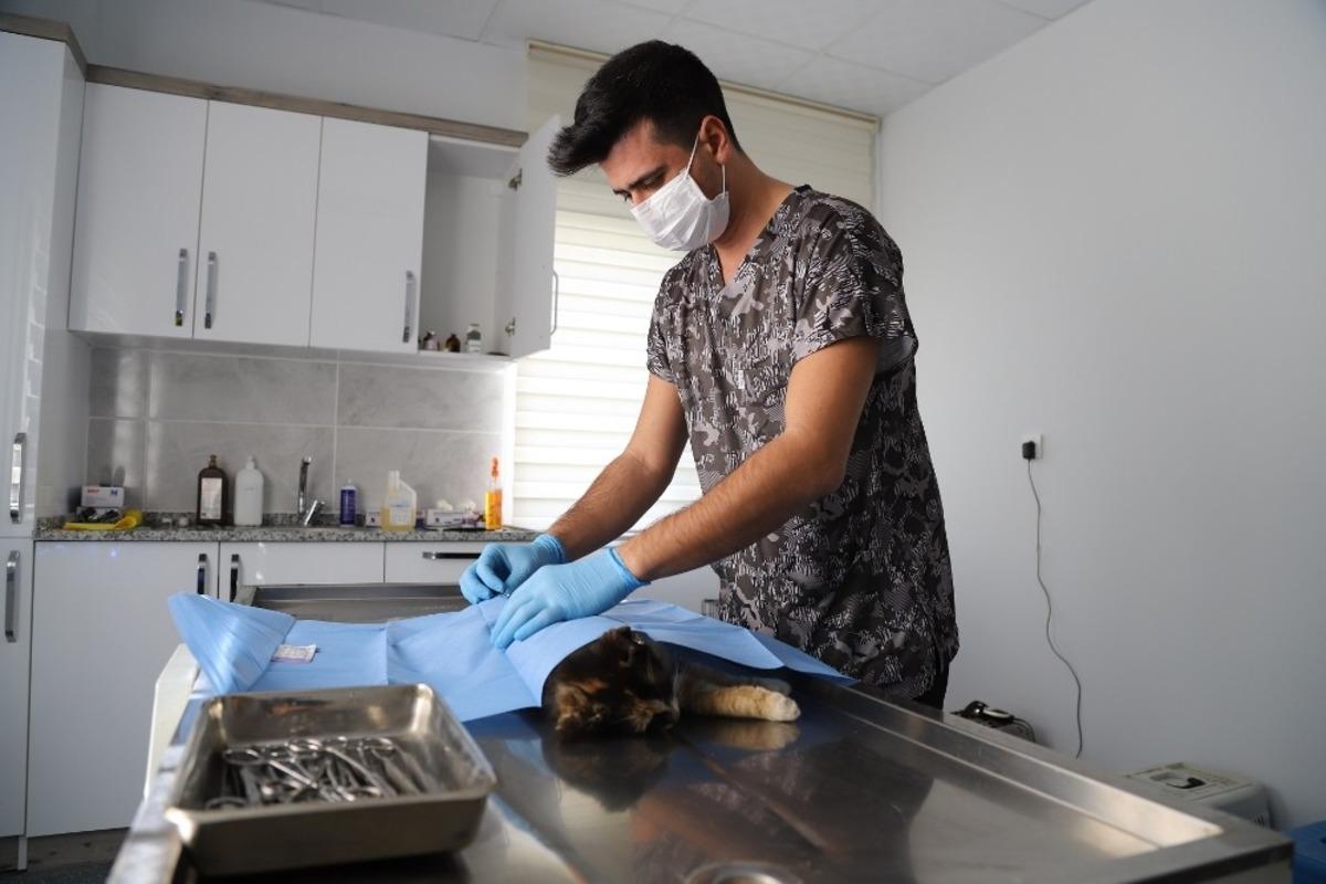 Menderes&rsquo;te sokak hayvanları emin ellerde