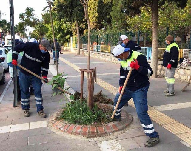 Didim’de yeşil alanlarda bakım çalışmaları sürüyor