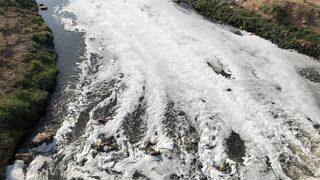 Dereden köpükler yükseliyor! Mardin'de endişelendiren görüntü