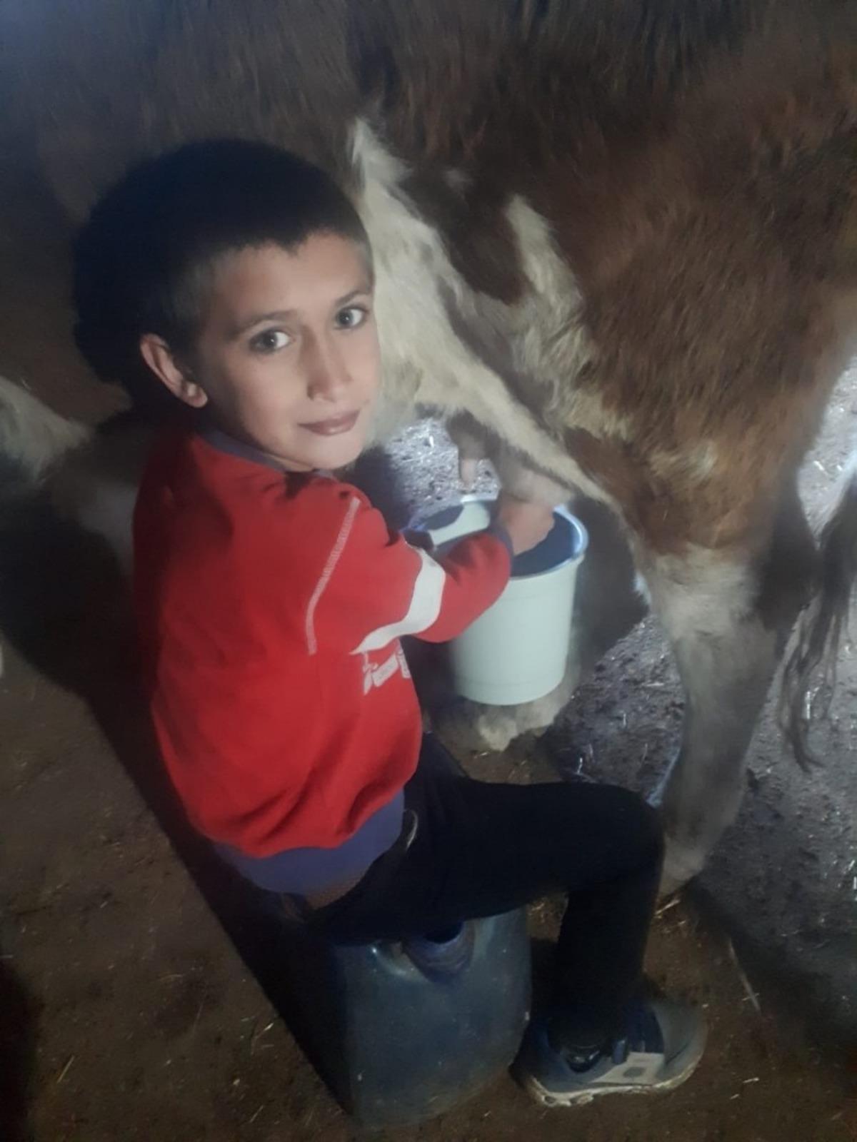 &Ouml;ğrenciler kendileri sağıyor, doğal besleniyor