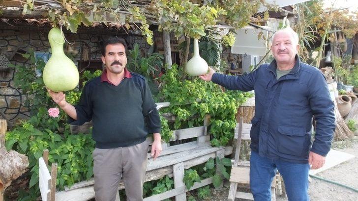 Burhaniye’de su kabakları çayevine dekor oldu G2