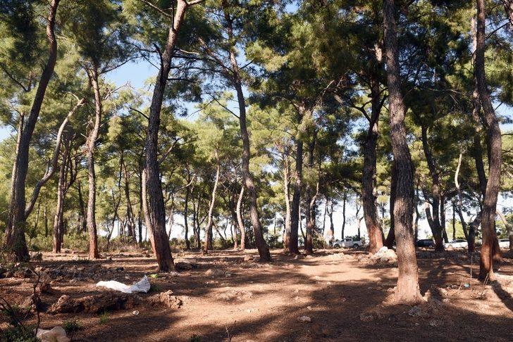 Tütüncü’den gençlere kamp alanı müjdesi G3