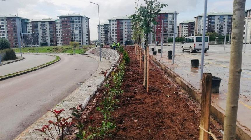 Ekipler yeşil K&ouml;rfez i&ccedil;in &ccedil;alışmalarını s&uuml;rd&uuml;r&uuml;yor