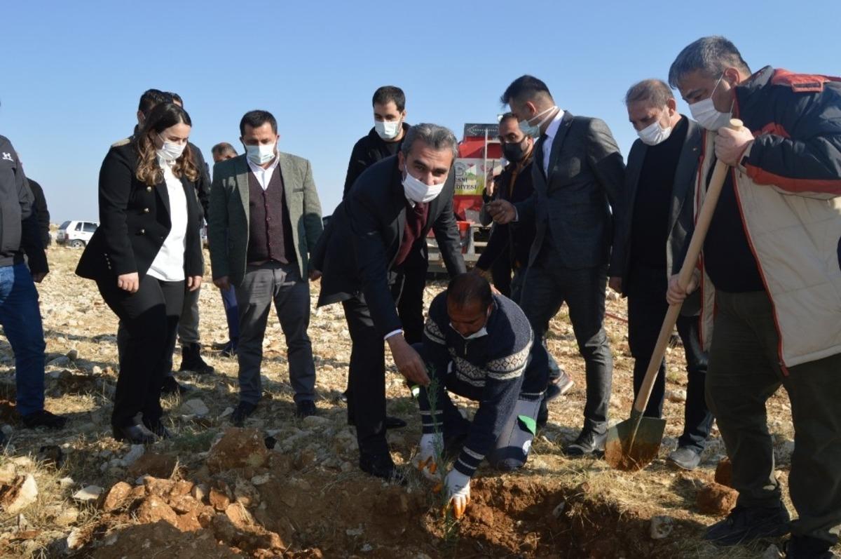 T&Uuml;GVA Besni temsilciliği fidan dikimi ger&ccedil;ekleştirdi