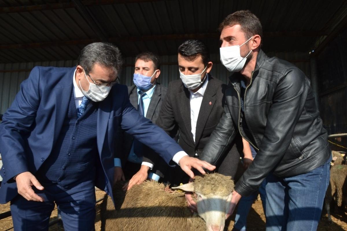 Biga&rsquo;da s&uuml;r&uuml; sahiplerine 15 adet ko&ccedil; dağıtıldı