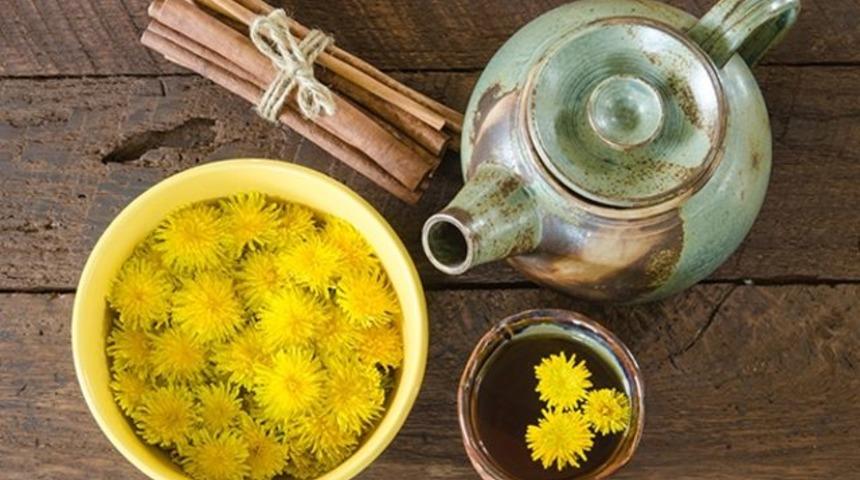 Doğadaki Mucize: Karahindiba Otunun Hi&ccedil; Bilmediğiniz 9 Faydası