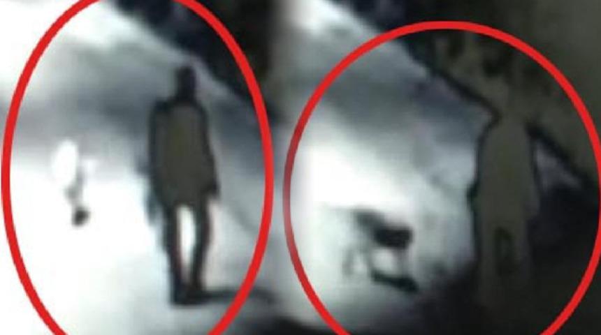 Sokak köpeğini av tüfeğiyle öldürdü! Kimliği şaşkına çevirdi