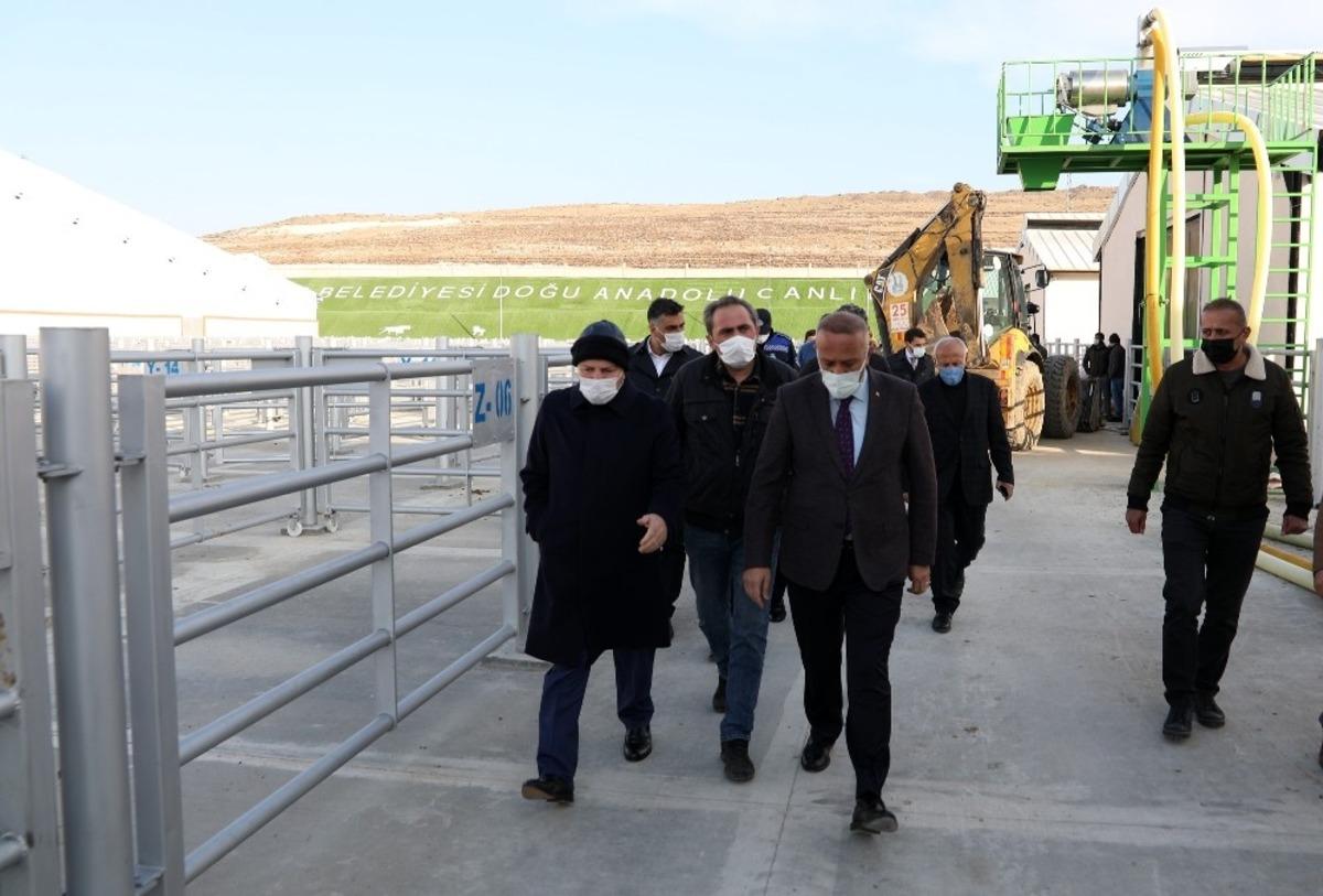 Başkan Sekmen: &ldquo;Erzurum, hayvancılık ve tarımda da marka bir kent oldu&rdquo;